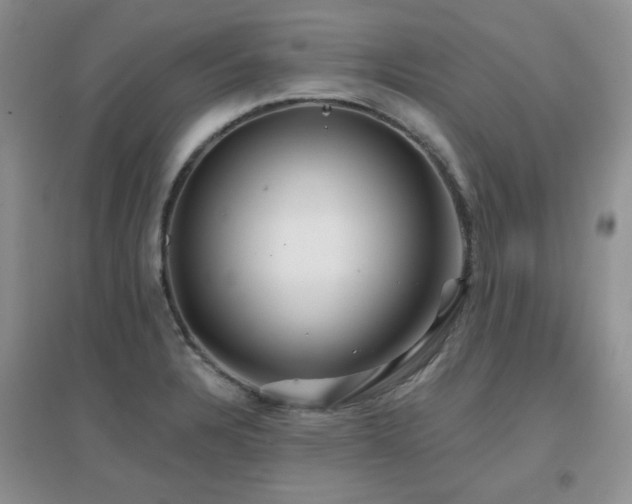 X0000096971328200802081243
