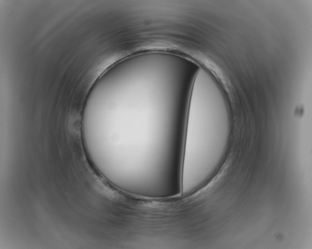 X0000096971329200802081243