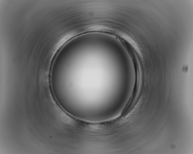 X0000096971330200802081243