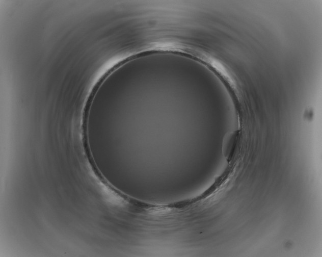 X0000096971331200802081243