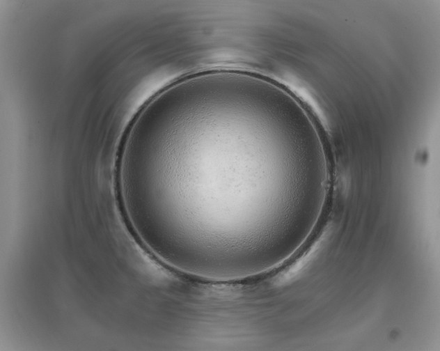 X0000096971333200802081243