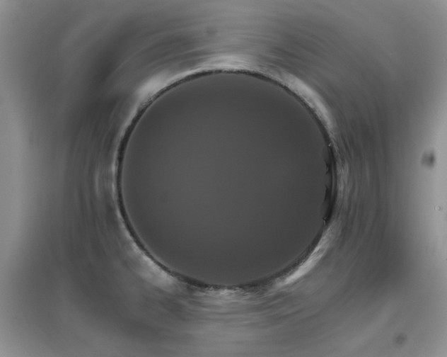 X0000096971334200802081243