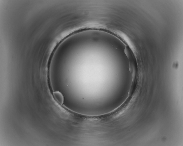 X0000096971335200802081243