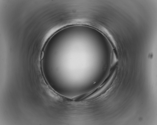X0000096971336200802081243