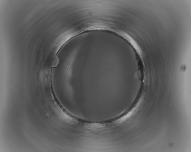 X0000096971337200802081243