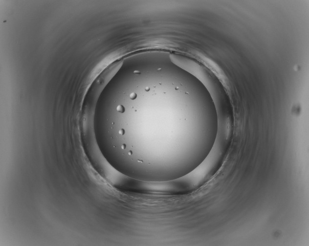 X0000096971338200802081243