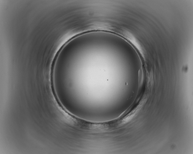 X0000096971339200802081243