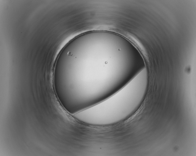 X0000096971340200802081243