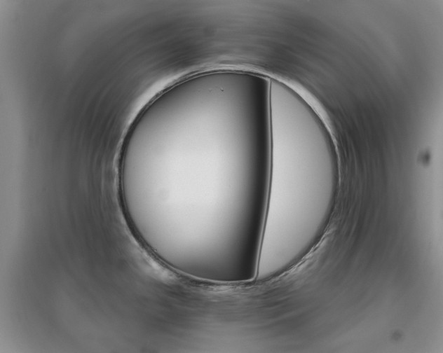 X0000096971341200802081243