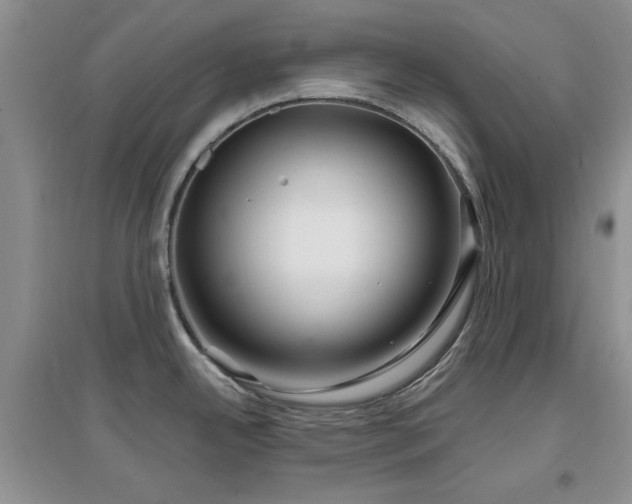 X0000096971342200802081244