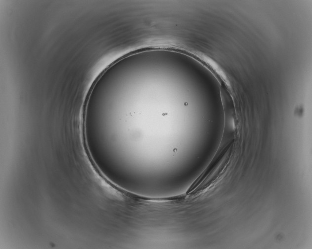 X0000096971343200802081244