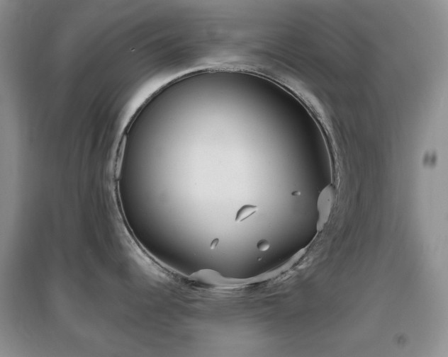 X0000096971344200802081244