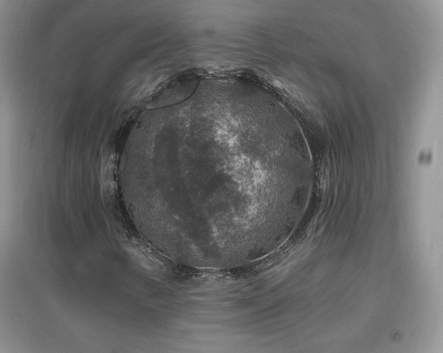 X0000096971346200802081243