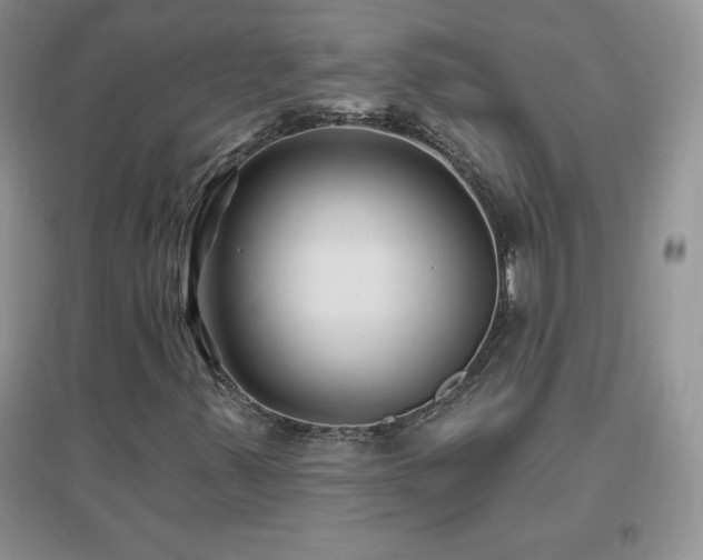 X0000096971347200802081243