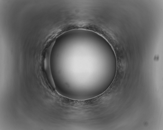 X0000096971349200802081243
