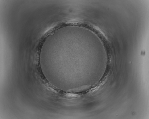 X0000096971350200802081243