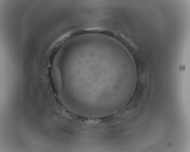 X0000096971351200802081243