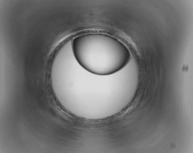 X0000096971352200802081243
