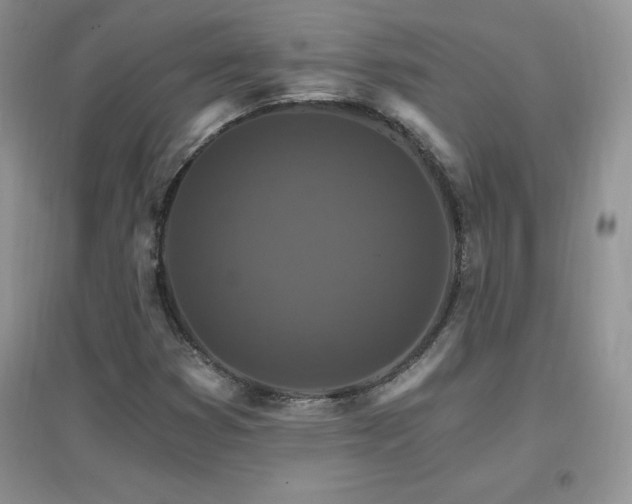 X0000096971353200802081243