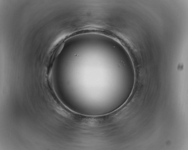 X0000096971355200802081243