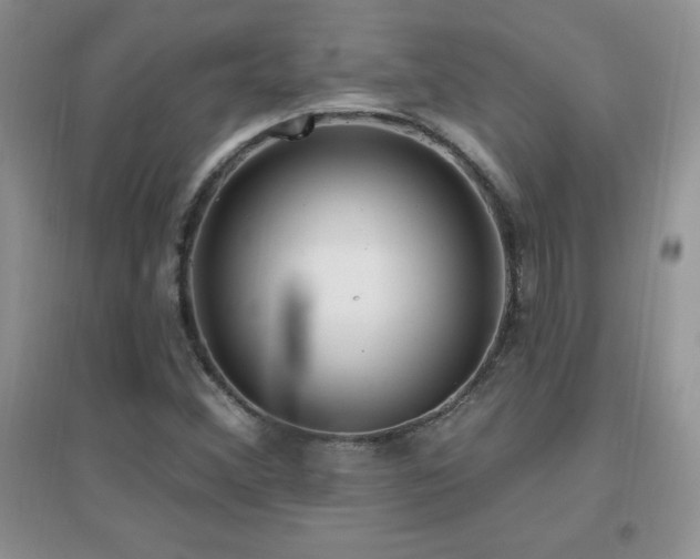 X0000096971356200802081243