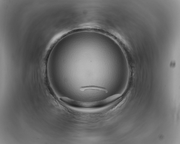 X0000096971358200802081243