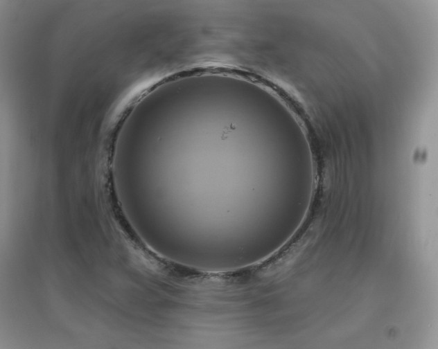 X0000096971359200802081243