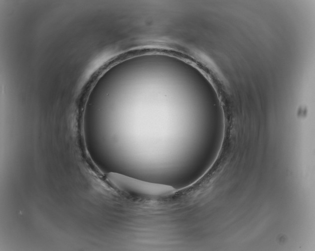 X0000096971360200802081243