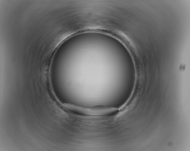 X0000096971361200802081243