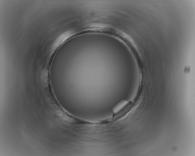 X0000096971362200802081243