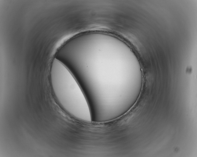 X0000096971363200802081243