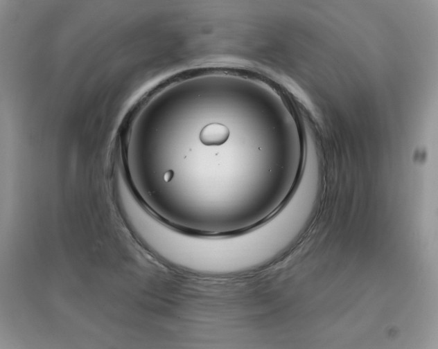 X0000096971364200802081243