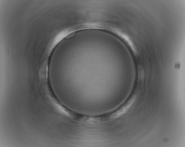 X0000096971365200802081243