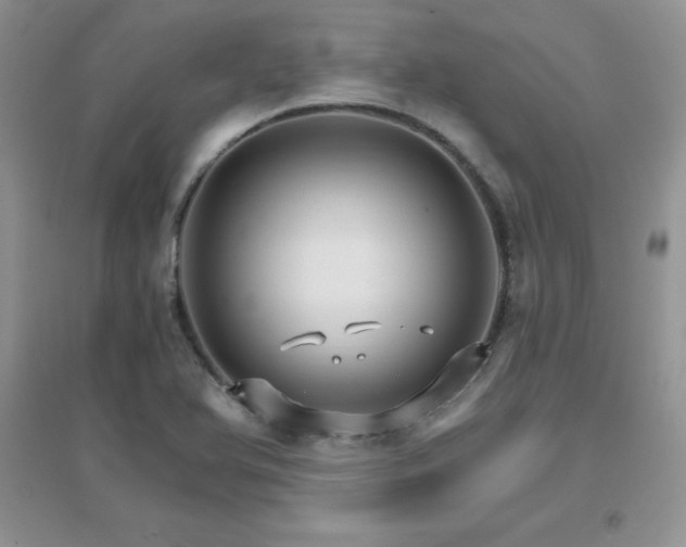 X0000096971366200802081243