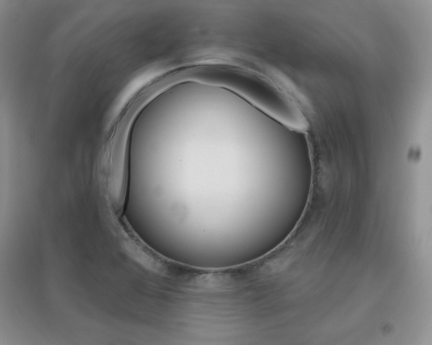 X0000096971368200802081243