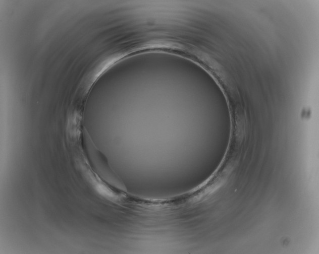 X0000096971369200802081243