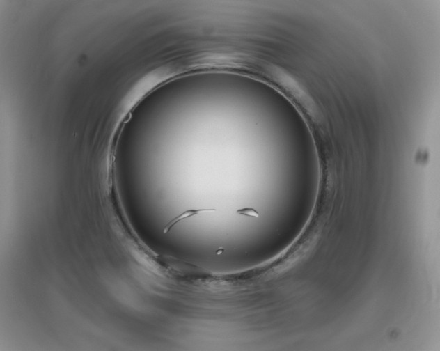 X0000096971370200802081243
