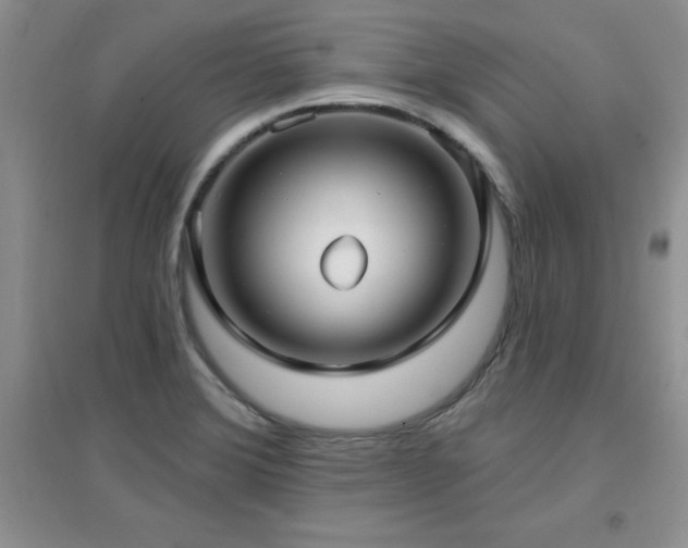 X0000096971372200802081243