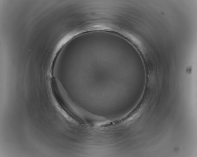 X0000096971373200802081242
