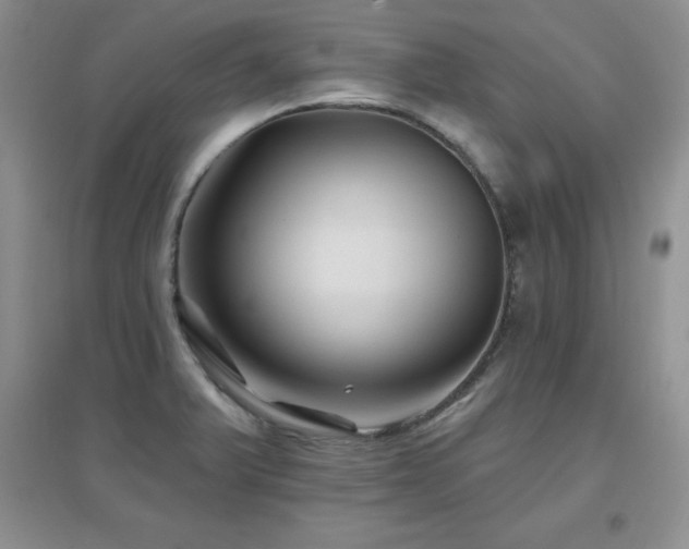 X0000096971375200802081242