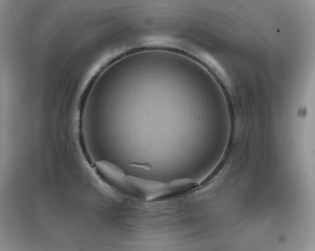 X0000096971376200802081242