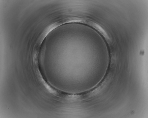 X0000096971377200802081242