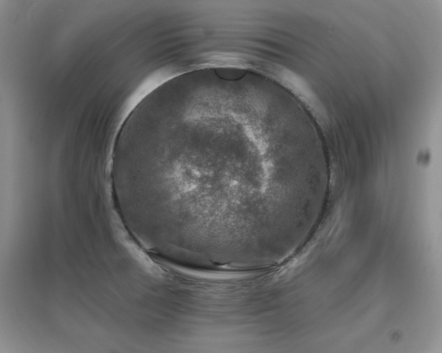 X0000096971378200802081242
