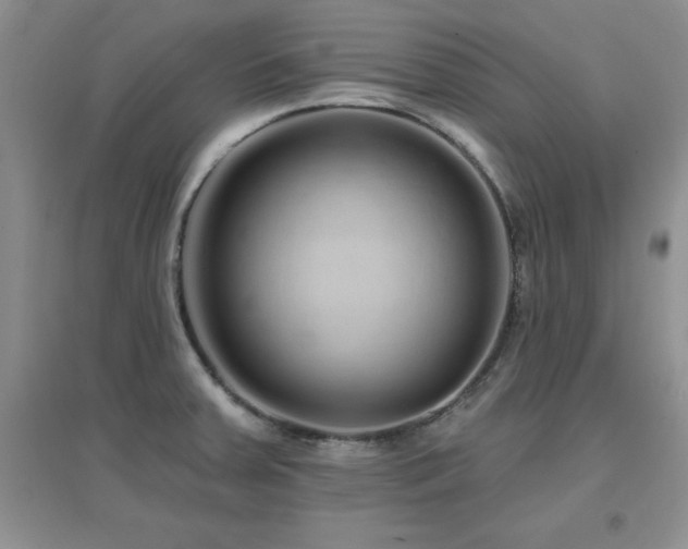 X0000096971379200802081242