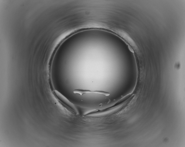 X0000096971380200802081242