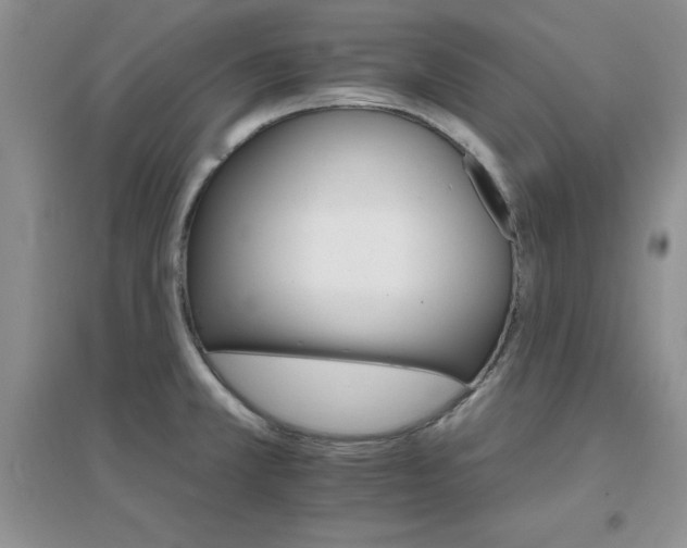 X0000096971381200802081242