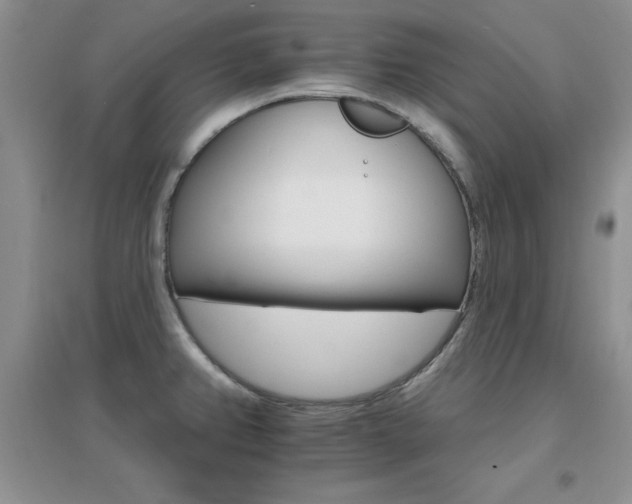 X0000096971382200802081242