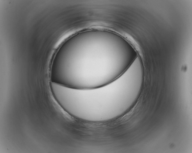 X0000096971384200802081242