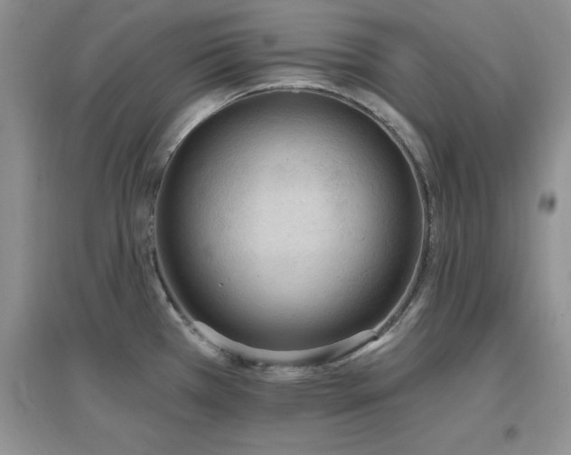 X0000096971385200802081242