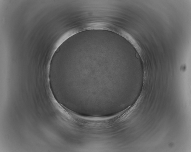 X0000096971386200802081242